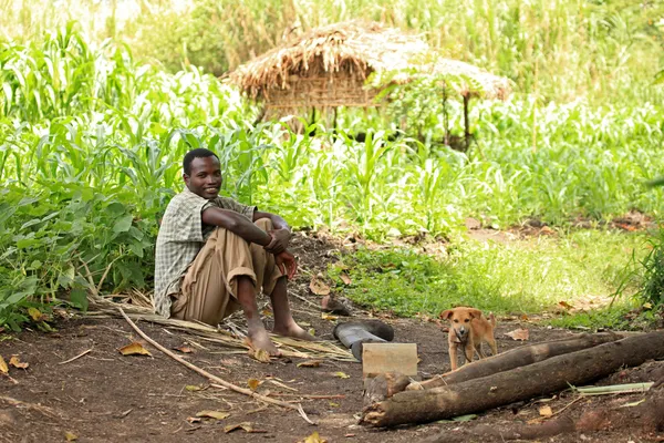 Bigodi bažiny - uganda — Stock fotografie