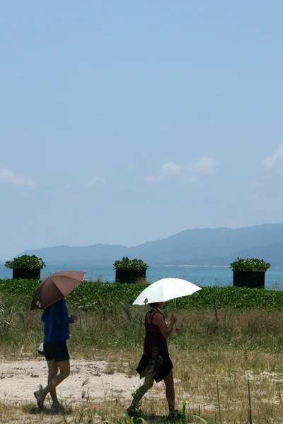 伞-西表岛岛、 冲绳岛、 日本 — 图库照片