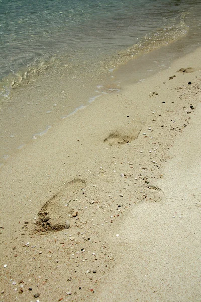 Paradise Beach - Iriomote Jima Island, Okinawa, Japan — Stock Photo, Image