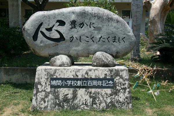 Skała znak - iriomote jima Wyspie okinawa, Japonia — Zdjęcie stockowe