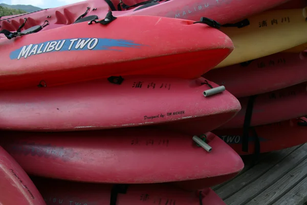 Pink Kayaks - Urauchi River, Iriomote Island, Okinawa, Japan — Stockfoto