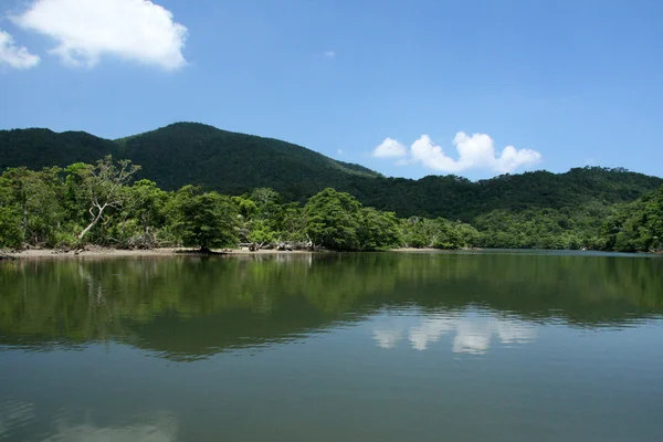 Rivière Urauchi, île d'Iriomote, Okinawa, Japon — Photo