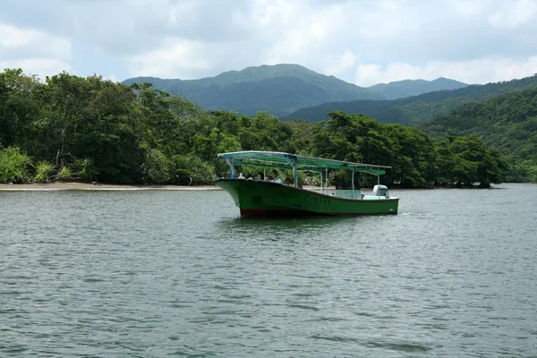 Urauchi River, Iriomote-szigeti sziget, Okinava, Japán — Stock Fotó