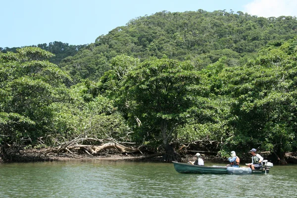 Urauchi floden, iriomote island, okinawa, japan — Stockfoto