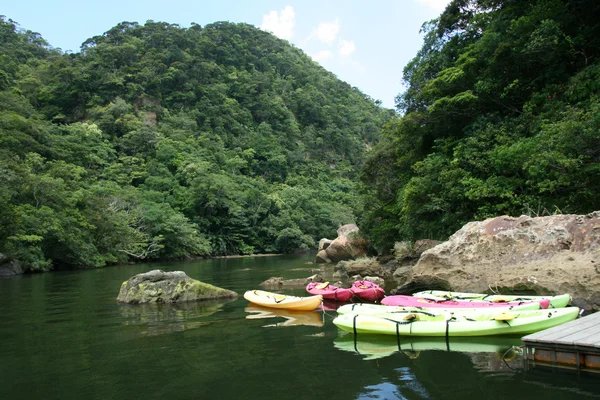 Kajakpaddling - urauchi floden, iriomote island, okinawa, japan — Stockfoto