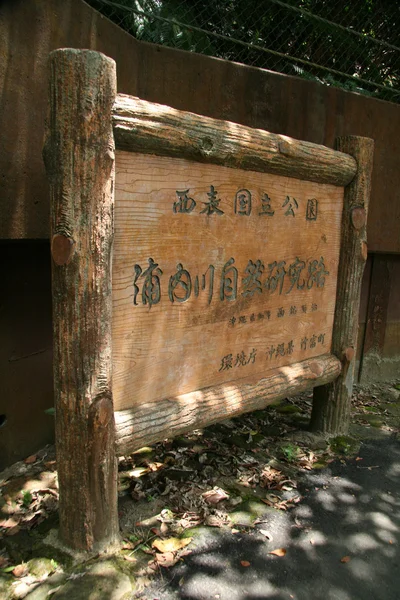 Mariyudo wodospad trek, iriomote island, okinawa, Japonia — Zdjęcie stockowe