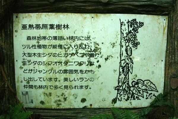 Caminata en cascada Mariyudo, Isla Iriomote, Okinawa, Japón —  Fotos de Stock