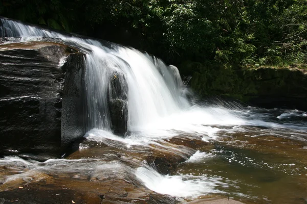 Mariyudo vodopád trek, iriomote island, okinawa, Japonsko — Stock fotografie