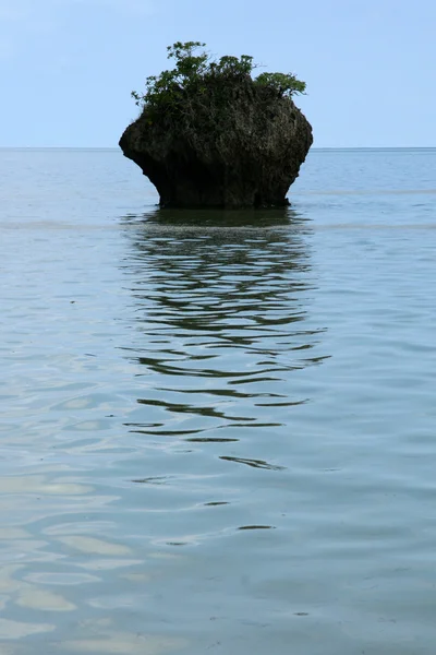 Isla Iriomote Jima, Okinawa, Japón — Foto de Stock