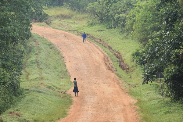 Bigodi bagna - uganda — Zdjęcie stockowe