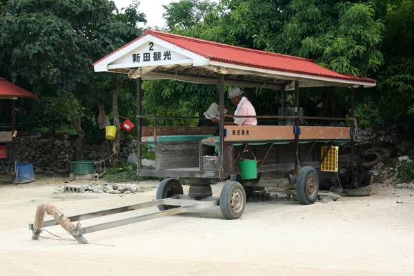 Paseo de búfalo de agua - isla de taketomi, okinawa, Japón — Stockfoto