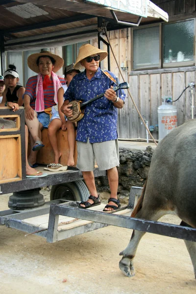 Paseo en búfalo acuático - Isla Taketomi, Okinawa, Japón — Foto de Stock
