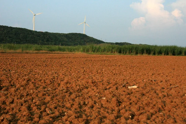 Mud Field Windmill in Distance, Yonaguni Island — Stock Photo, Image