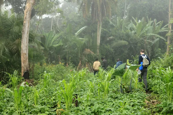 Uganda Ocidental remoto — Fotografia de Stock