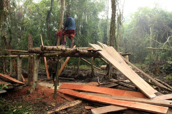 Logging - Remote Western Uganda — Stock Photo, Image