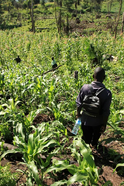 Uganda occidentale remota — Foto Stock