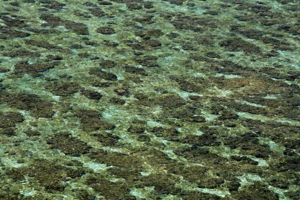 Mar Tropical, Arrecife de Coral - Isla de Yonaguni, Okinawa, Japón — Foto de Stock