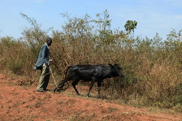 Unbefestigte straße - uganda, afrika — Stockfoto