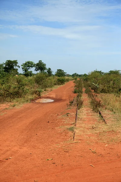 Polní cesta - uganda, Afrika — Stock fotografie