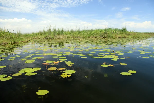 Klidné jezero nastavení - uganda, Afrika — Stock fotografie