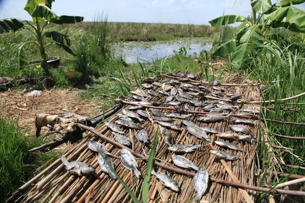 Galleggianti pesca villaggio - uganda, africa — Foto Stock