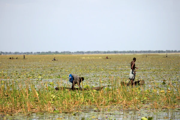 Técnica de pesca tradicional - Uganda, África — Fotografia de Stock
