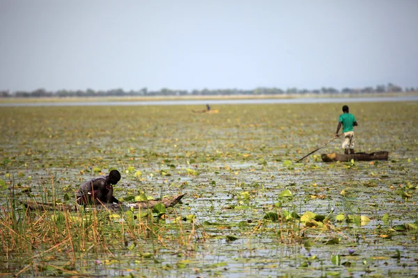 Tecnica di pesca tradizionale - Uganda, Africa — Foto Stock