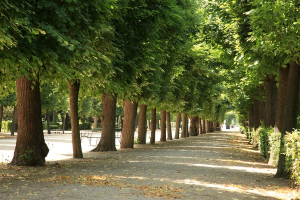 Περιλαμβάνει το παλάτι Schonbrunn, Βιέννη — Φωτογραφία Αρχείου