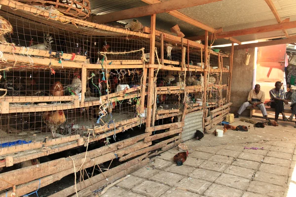 Mercado de Frangos - Soroti, Uganda, África — Fotografia de Stock