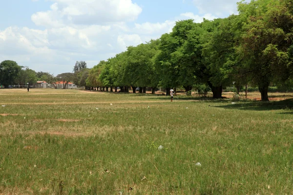 Pole - soroti, uganda, Afrikaフィールド - soroti、ウガンダ、アフリカ — Stock fotografie