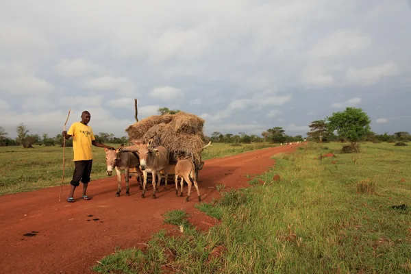 Dirt Road - Uganda, África — Fotografia de Stock