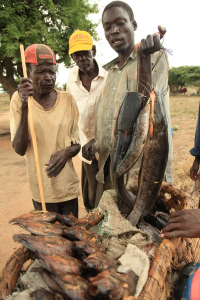 Dell'Uganda, Africa — Foto Stock