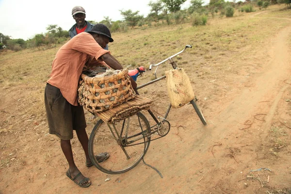 ウガンダ、アフリカの — ストック写真