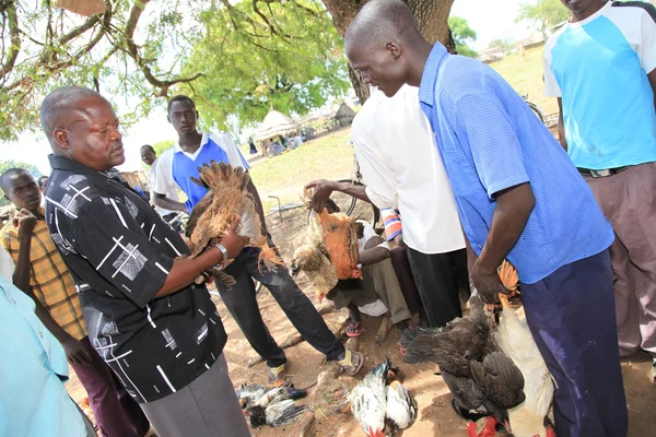 Helyi piac Uganda, Afrika — Stock Fotó