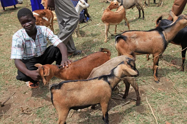 Helyi piac Uganda, Afrika — Stock Fotó