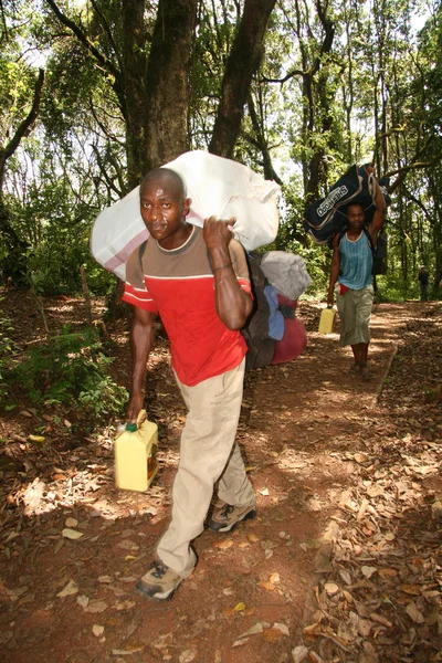 キリマンジャロ - machame ルート、タンザニア、アフリカ — ストック写真