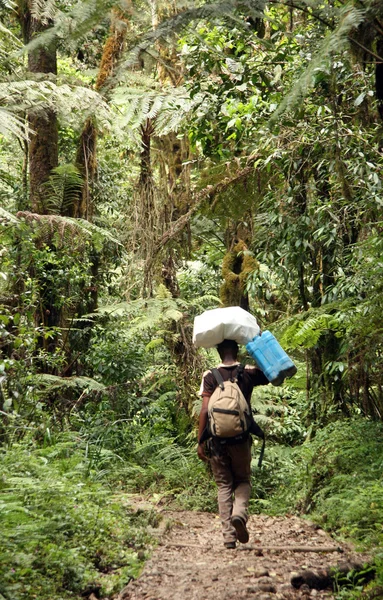 Mt Kilimanjaro, Tanzania, Africa — Foto Stock