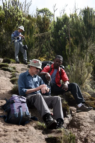 MT Kilimandzsáró, Tanzánia, Afrika — Stock Fotó