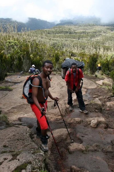 Monte Kilimanjaro, Tanzania, África — Foto de Stock
