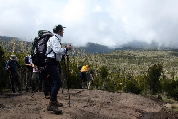 Mt Kilimanjaro, Tanzania, Africa — Foto Stock