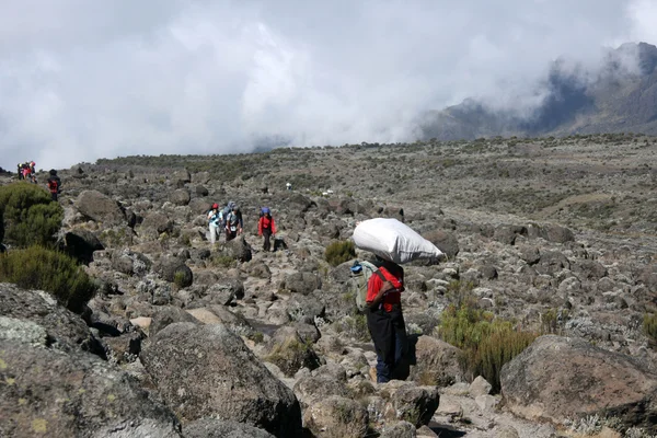 Mt Kilimanjaro, Tanzania, Africa — Foto Stock