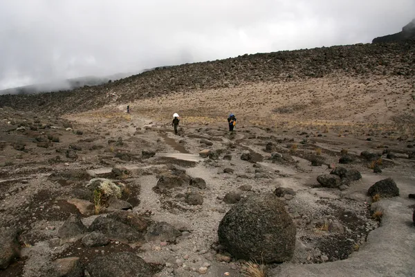 Mt Kilimanjaro, Tanzania, Africa — Stock Photo, Image