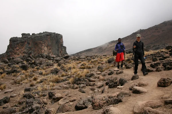 MT Kilimandzsáró, Tanzánia, Afrika — Stock Fotó