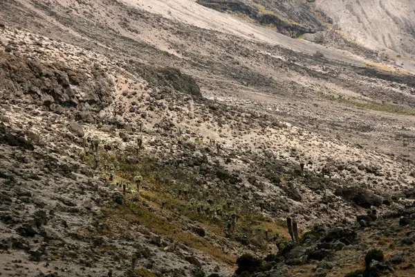 Mt kilimandscharo, tansania, afrika — Stockfoto