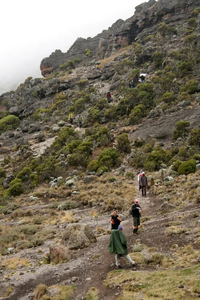 Mt Kilimanjaro, Tanzânia, África — Fotografia de Stock