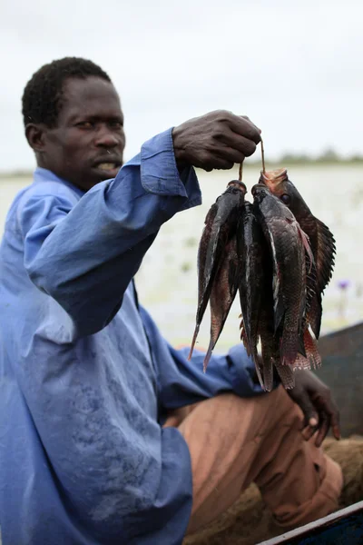 Floating Fishing Village - Uganda, África — Fotografia de Stock