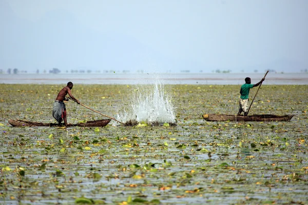 Traditionele vangsttechniek - Oeganda, Afrika — Stockfoto