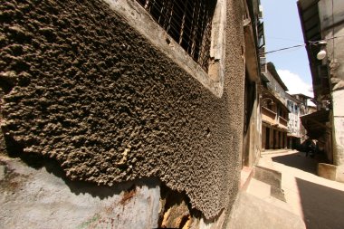 taş şehir, zanzibar