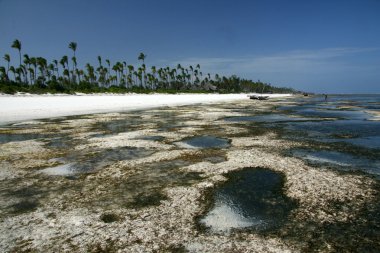 Matemwe Beach, Zanzibar