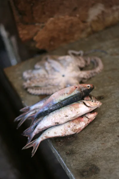 Fiskmarknaden, Afrika — Stockfoto